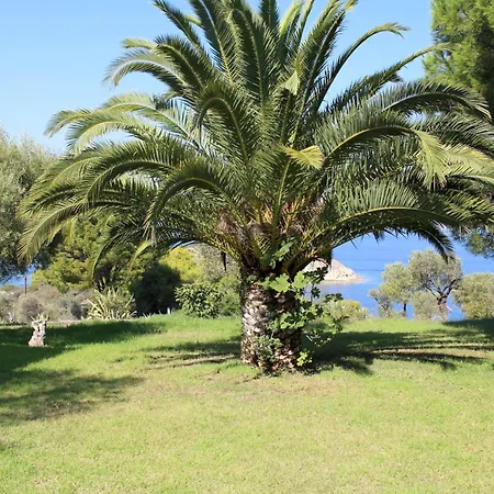 아파트 Aspro Spiti 1 *